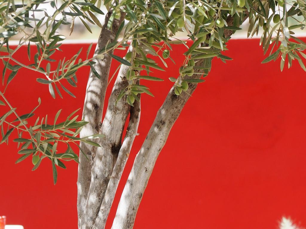 Hotel Dar Tifrouine Lalla Takerkoust Esterno foto